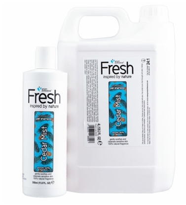 Picture of Groom Professional Fresh Cedar Mist Shampoo